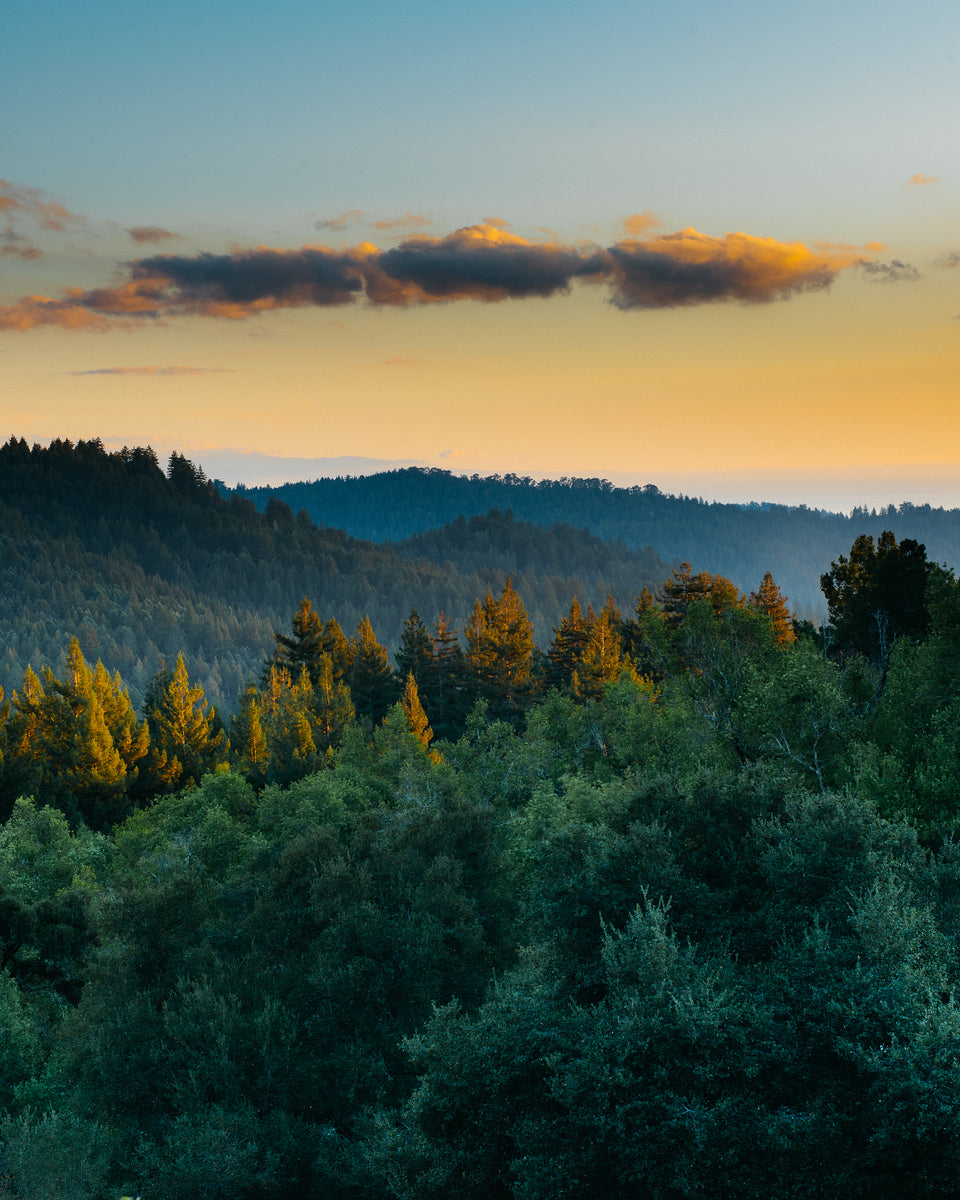 Mountain Sunset